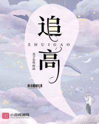 追高章节列表