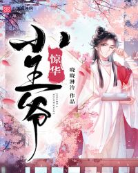 惊华小王爷章节列表