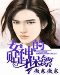 女神的贴身保镖章节列表