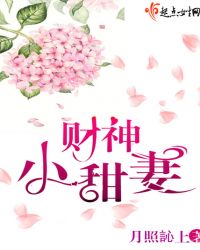 财神小甜妻章节列表