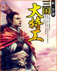 三国大特工章节列表