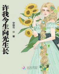许我今生向光生长章节列表