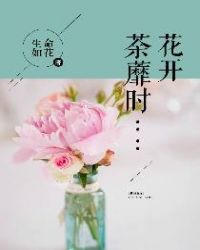 花开荼蘼时章节列表