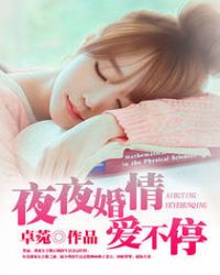 夜夜婚情爱不停章节列表