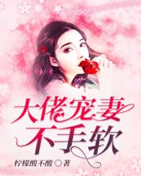 大佬宠妻不手软章节列表