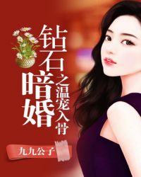 钻石暗婚之温宠入骨章节列表