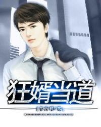 狂婿当道章节列表