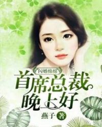 闪婚绵绵：首席总裁，晚上好章节列表