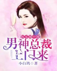 娱乐圈中圈：男神总裁上门来章节列表