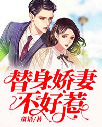替身娇妻不好惹章节列表