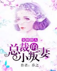 宠婚撩人，总裁的小叛妻章节列表