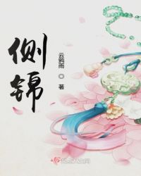 侧锦章节列表