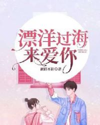 漂洋过海来爱你章节列表