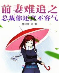 前妻难追之总裁你还真不客气章节列表