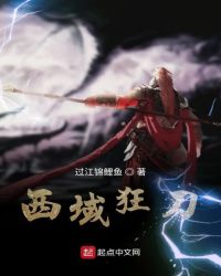 西域狂刀章节列表