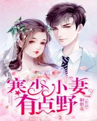 寒少，小妻有点野章节列表