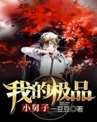 我的极品小舅子章节列表