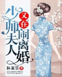 少帅：夫人又在闹离婚章节列表