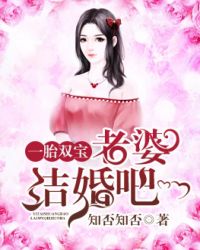 一胎双宝：老婆结婚吧章节列表