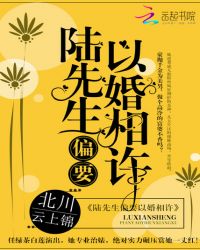 陆先生偏要以婚相许章节列表