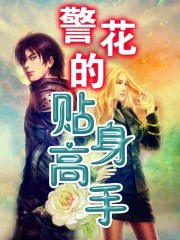 警花的贴身高手章节列表