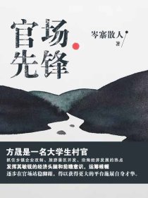 官场先锋章节列表