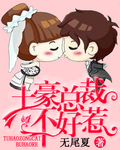 土豪总裁不好惹章节列表