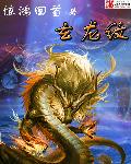 玄龙纹章节列表