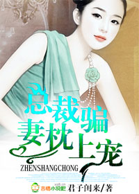 总裁骗妻枕上宠章节列表