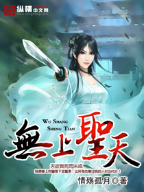 无上圣天章节列表