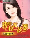 我的校花老婆章节列表