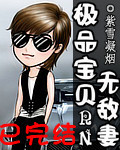 极品宝贝无敌妻章节列表