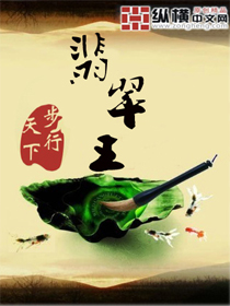 翡翠王章节列表
