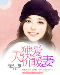 独爱天价暖妻章节列表