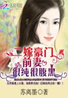 二嫁豪门：前妻很纯很腹黑章节列表