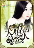 豪门宠婚：大明星的秘密恋人章节列表