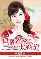 首席老公太霸道：宝贝，别闹章节列表