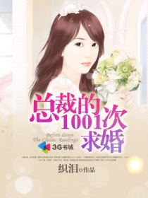 总裁的1001次求婚章节列表