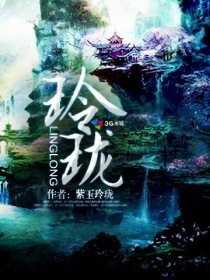 玲珑章节列表