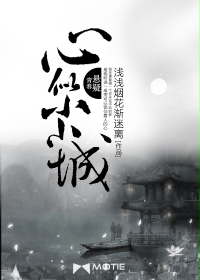 心似小小城章节列表