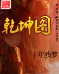 乾坤图章节列表