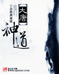 大唐神道章节列表