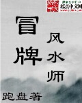 冒牌风水师章节列表