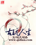 古玩人生章节列表
