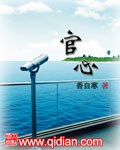 官心章节列表