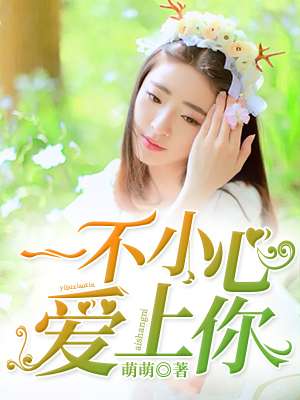 一不小心爱上你章节列表