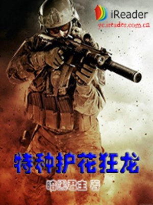 特种护花狂龙章节列表