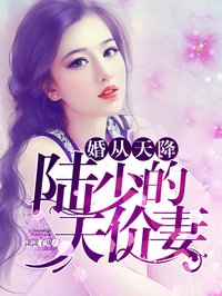 婚从天降：陆少的天价妻章节列表