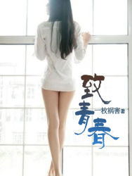 致青春章节列表