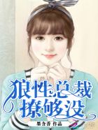 邪魅总裁，尝够没章节列表